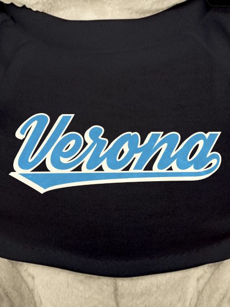 Verona Blue Script Logo