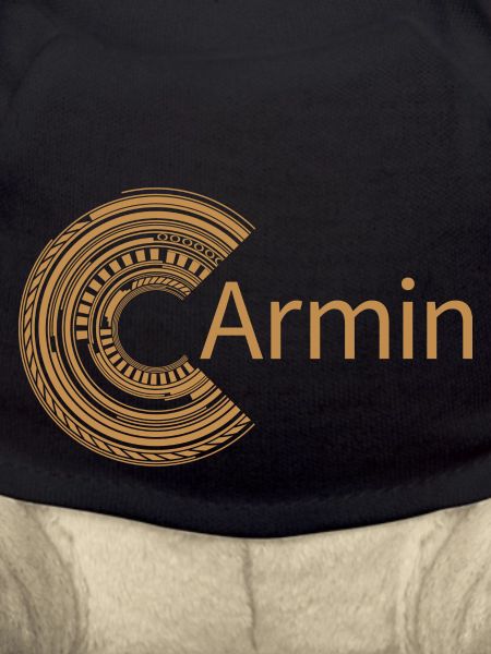 For Armin