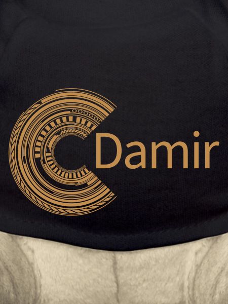 Pour Damir