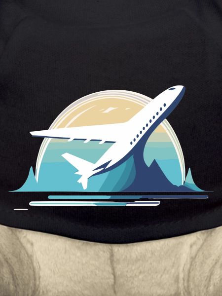 Airplane