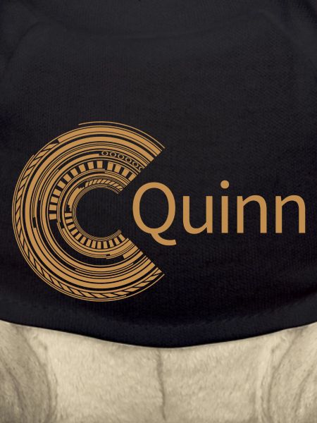 Pour Quinn