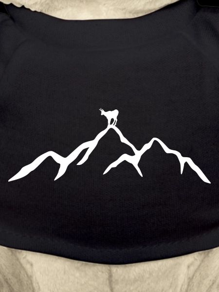Mountain with chamois