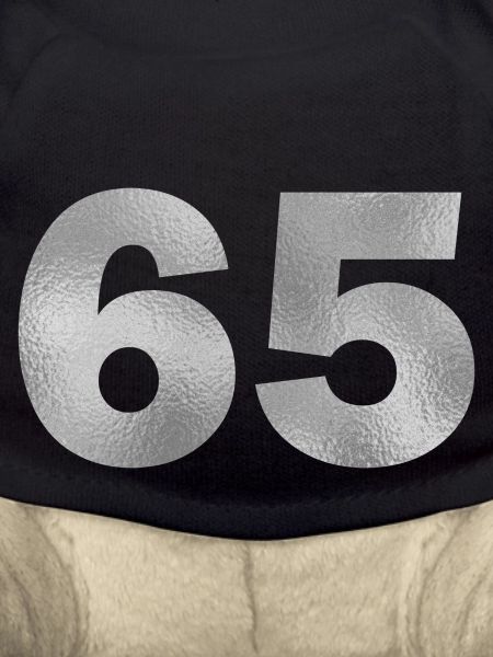 Birthday 65 years