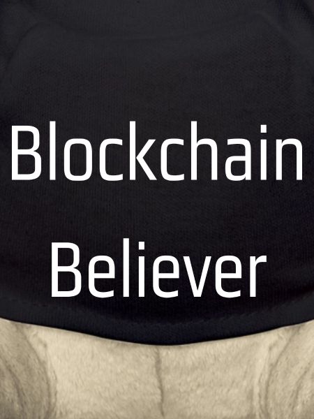 Blockchain believer