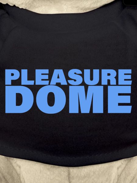 PLEASURE DOME