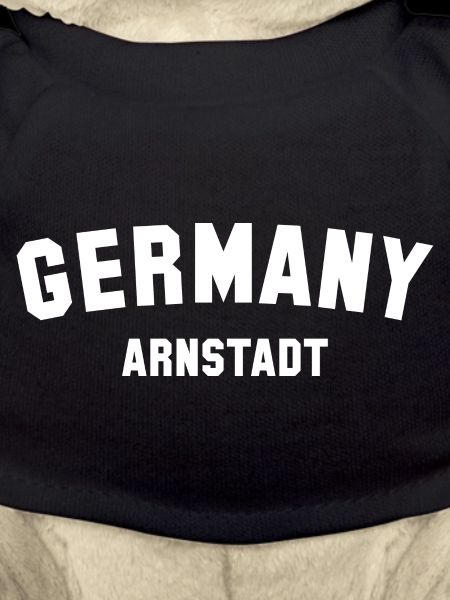 ARNSTADT Germany