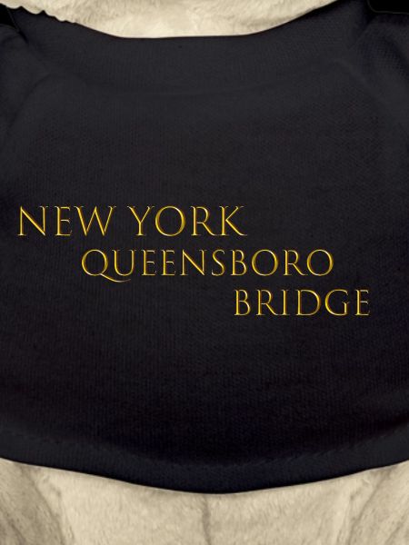 Queensboro Bridge