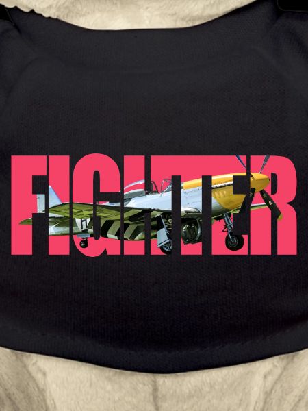 Fighter P-51