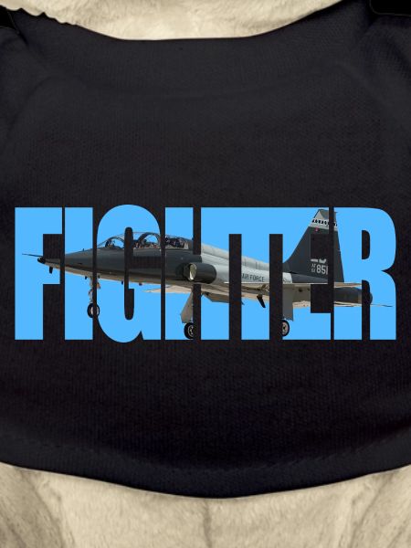 Fighter T-38 Talon