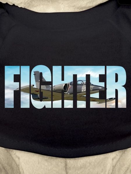 Fighter L-39 Albatros