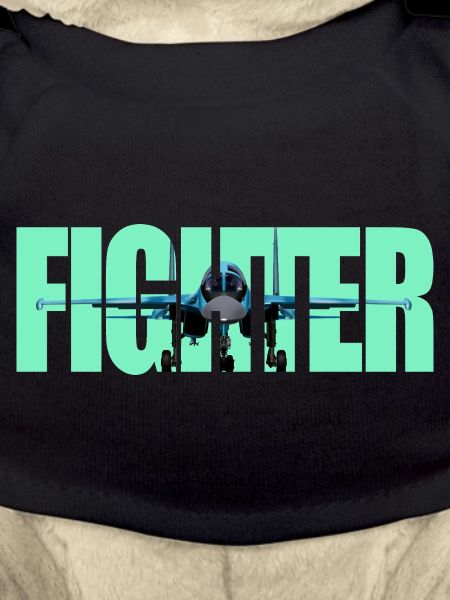 Fighter Su-34
