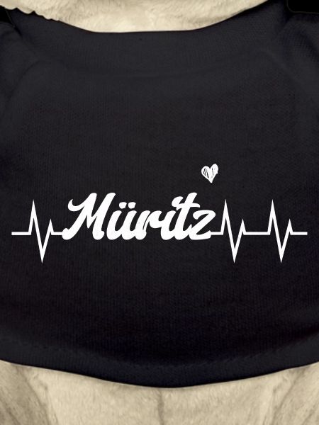 Heartbeat Müritz