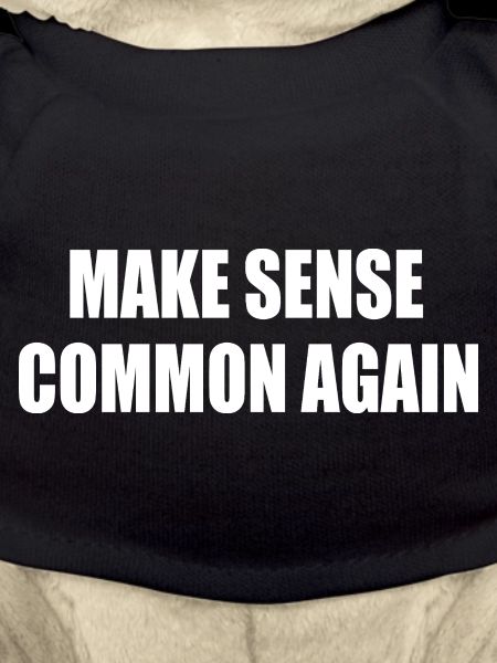 make sense common again