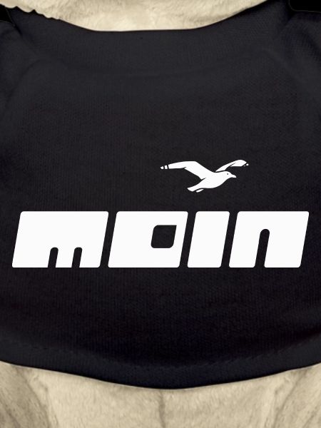 Modern Moin | Gull