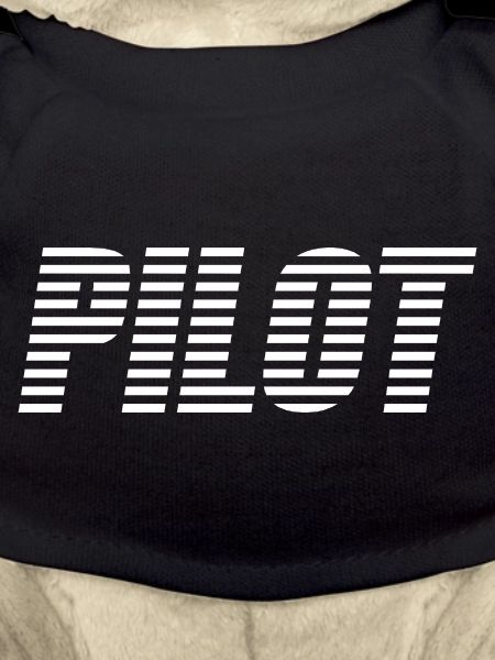 pilot