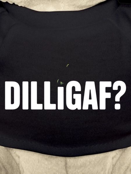 DILLIGAF Humor Spruch Sarkasmus Statement