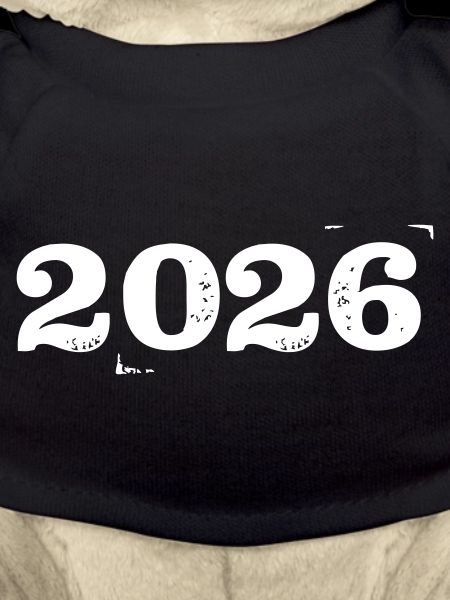 2026 Year Year