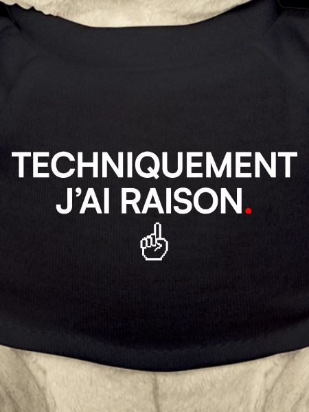 TECHNICALLY I'M RIGHT. | Humor