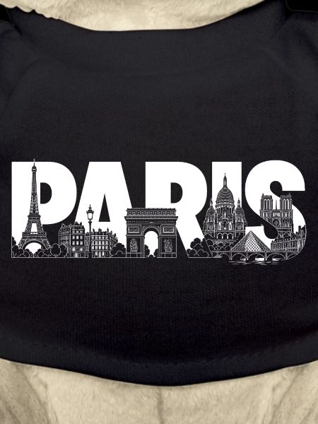 Paris Frankreich Eiffelturm Triumphbogen 