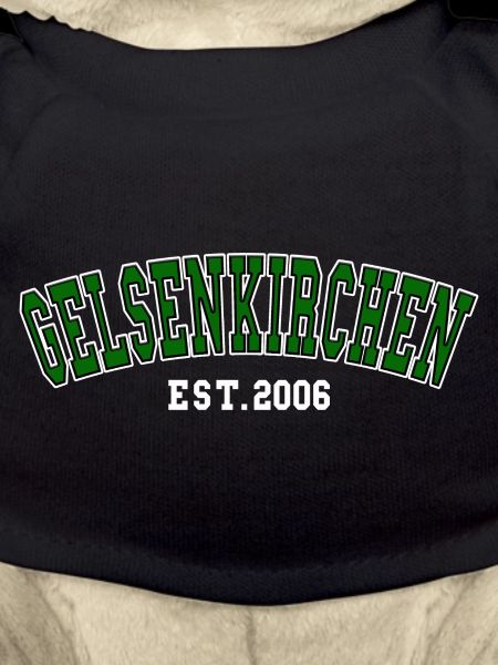 Gelsenkirchen Est. 2006
