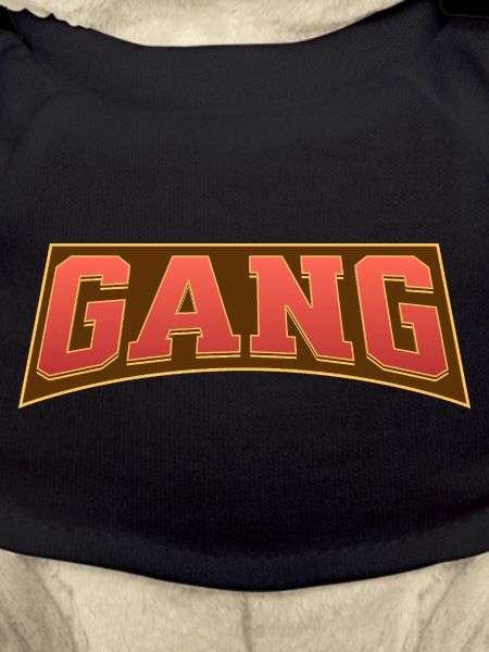 Gang