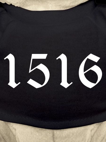 1516