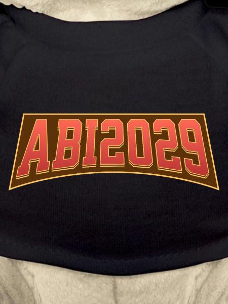 Abitur 2029
