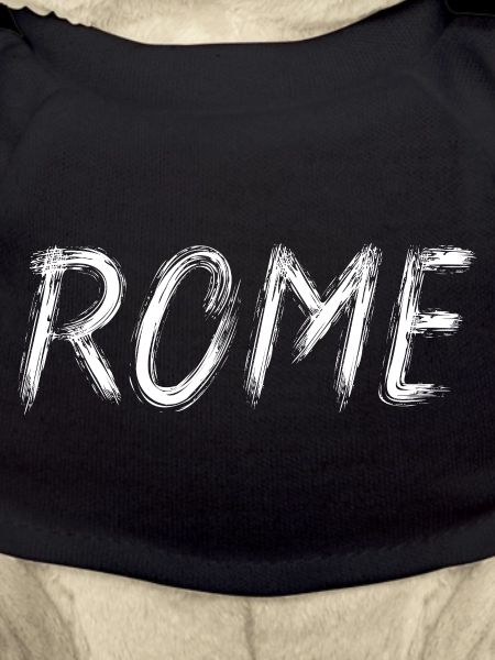 Rome Lettrage Brosse Graphique