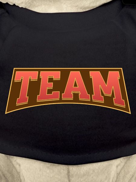 Team