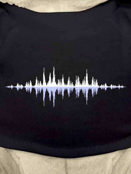 Sound wave