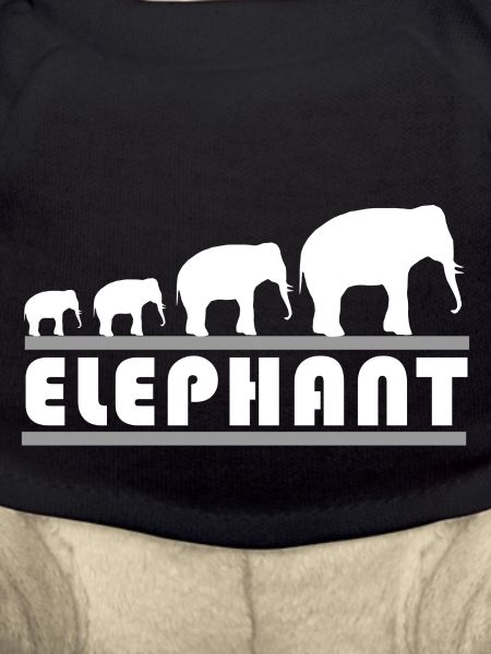 elephant1