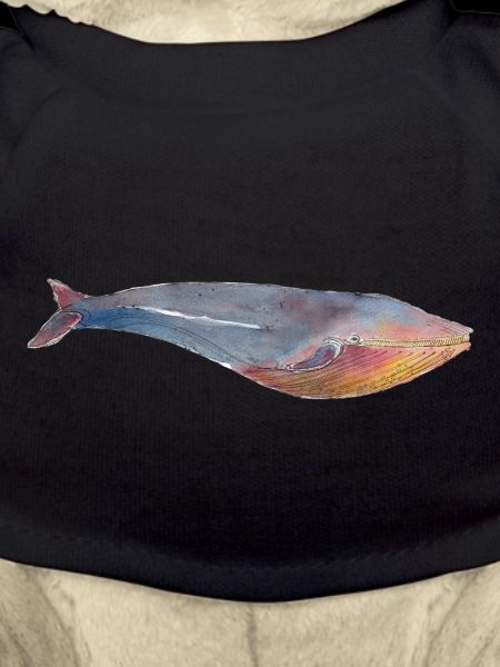 BlueWhale blue whale