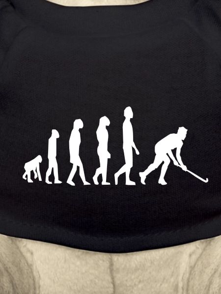 Hockey evolution