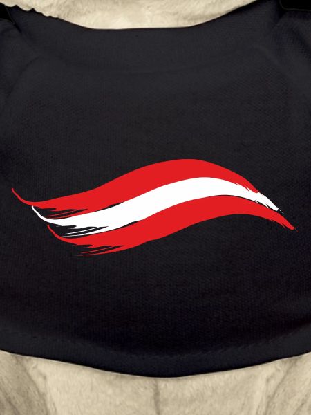 AUSTRIA NATIONAL FLAG