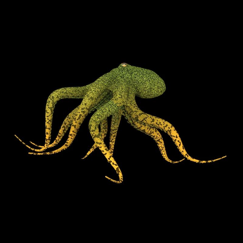 Octopuses, squid, octopus