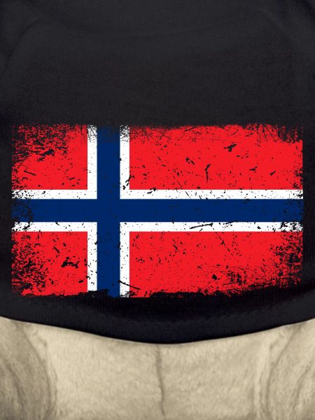 Norway Flag
