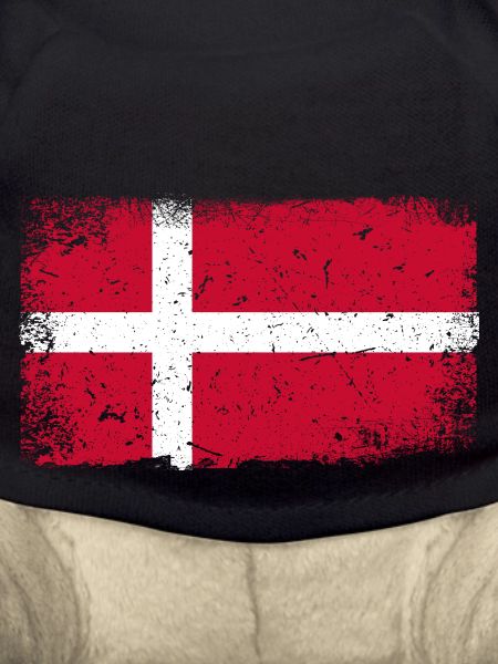 Denmark flag
