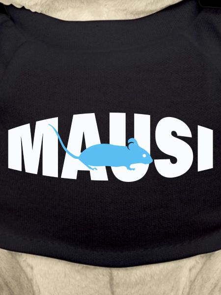 MAUSI