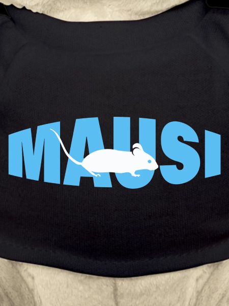 MAUSI