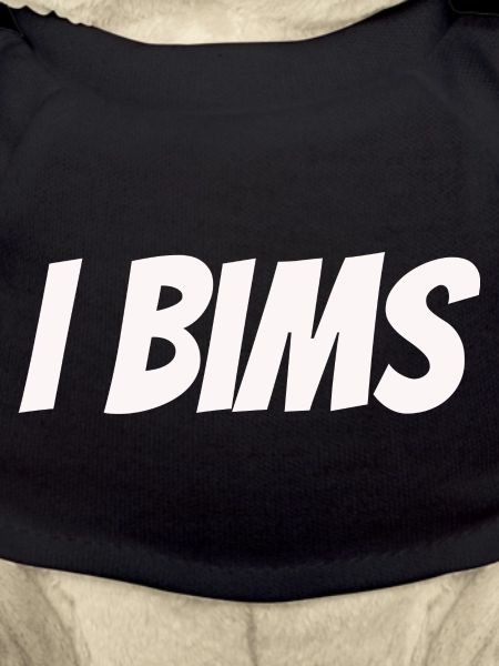 i bims
