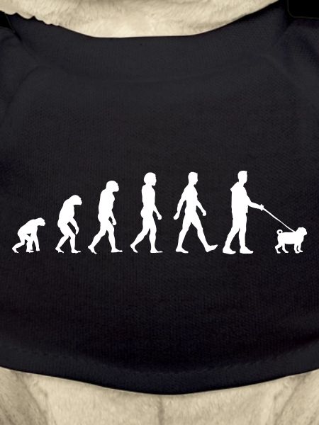 Mops Evolution Pug Hundebesitzer