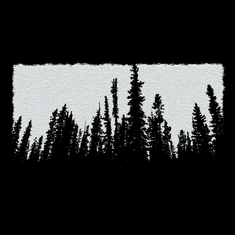 weiße Bäume Wald Natur