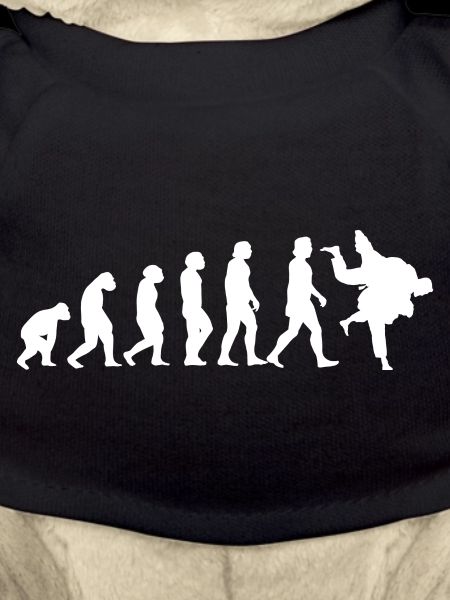 Evolution of Judo
