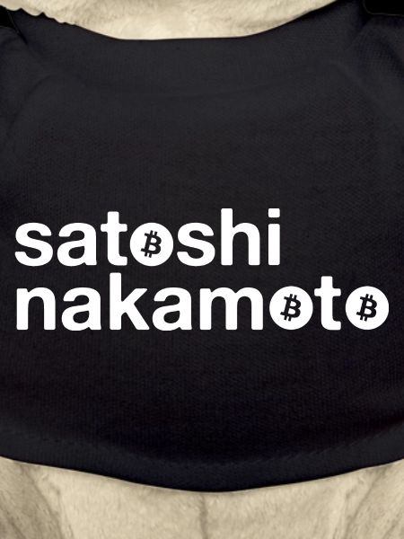 Satoshi Nakamoto Bitcoin Logo