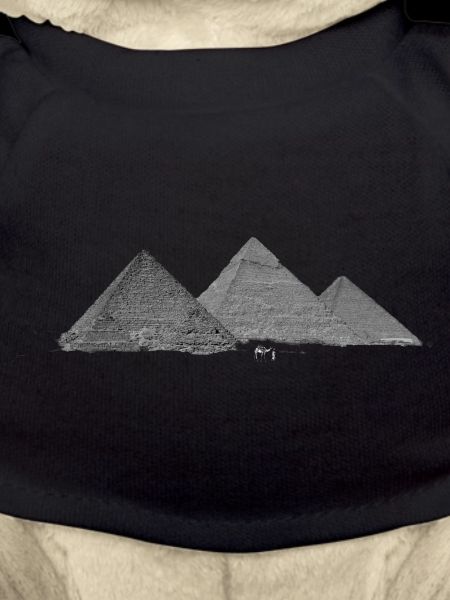 Die Pyramiden von Gizeh