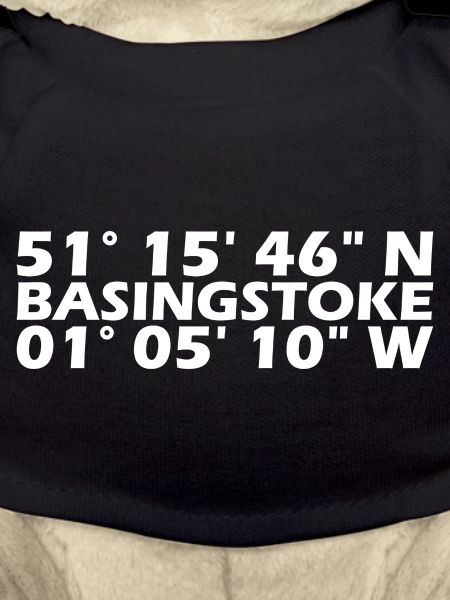 Basingstoke Koordinaten