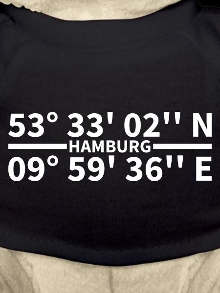 Coordonnées de Hambourg