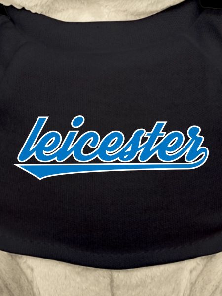 Leicester Blue Script Design