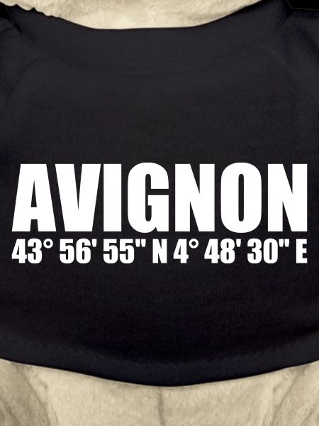 Coordonnées d’Avignon