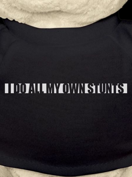 all my own stunts